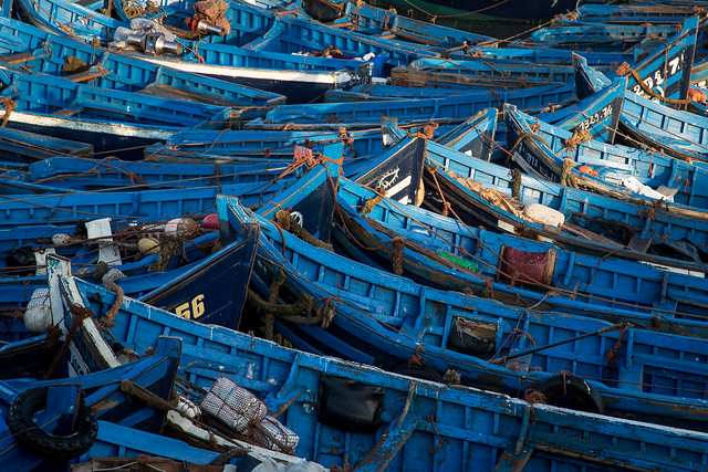 Port de pêche, Essaouira (2)