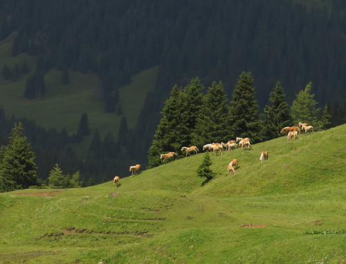 taste of freedom | by ludi_ste