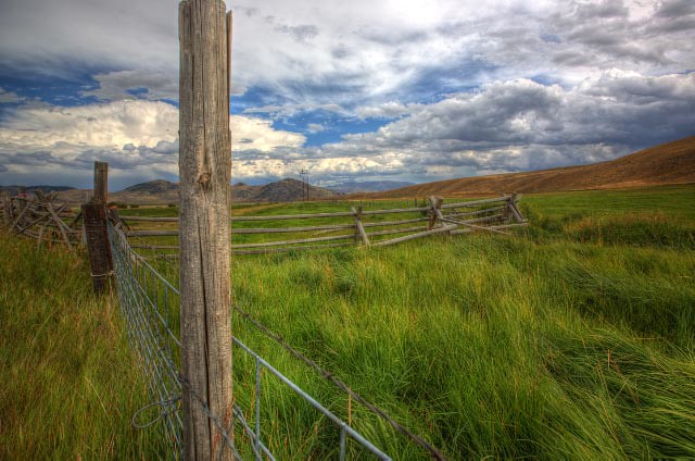 Fences and pastures