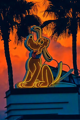 Golden Pup by Gary Burke., One of those beautiful Florida sunsets happened to make an appearance as I was walking down Hollywoo