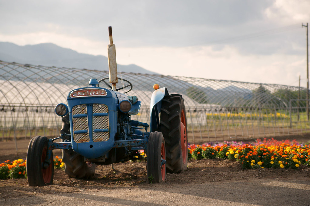 Fordson Super Dexta | 1960年代生まれの英国製トラクター。 哀愁漂う 
