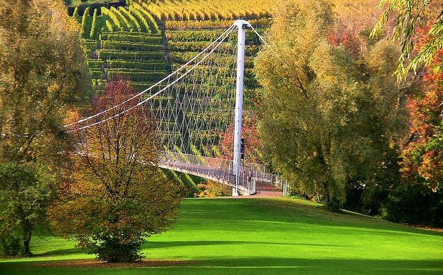 Stuttgart, Am Max-Eyth-See , Hängebrücke am Neckar , 74056/3549