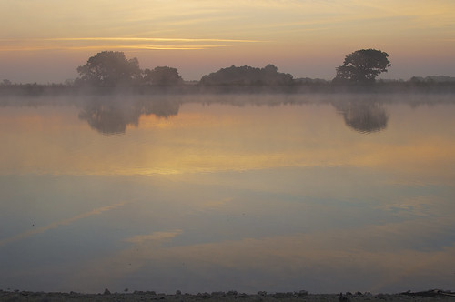 uk mist water sunrise dawn fishing norfolk reservoir carp bridgham