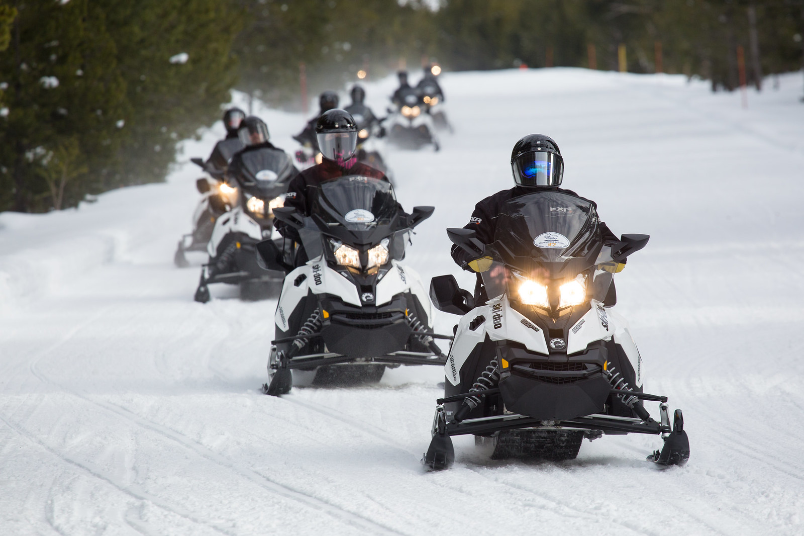 Guided snowmobile group on the West Entrance Road