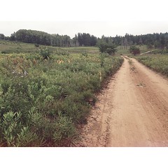 Yesterday's theme was EXPLORE : the Moquah Barrens are neat.