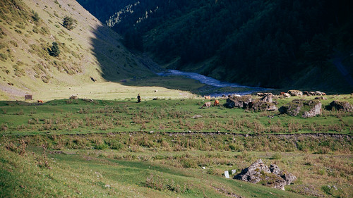 woman river georgia cows caucasus fujifilm sakartvelo republicofgeorgia tusheti dartlo transcaucasus fujifilmxe1