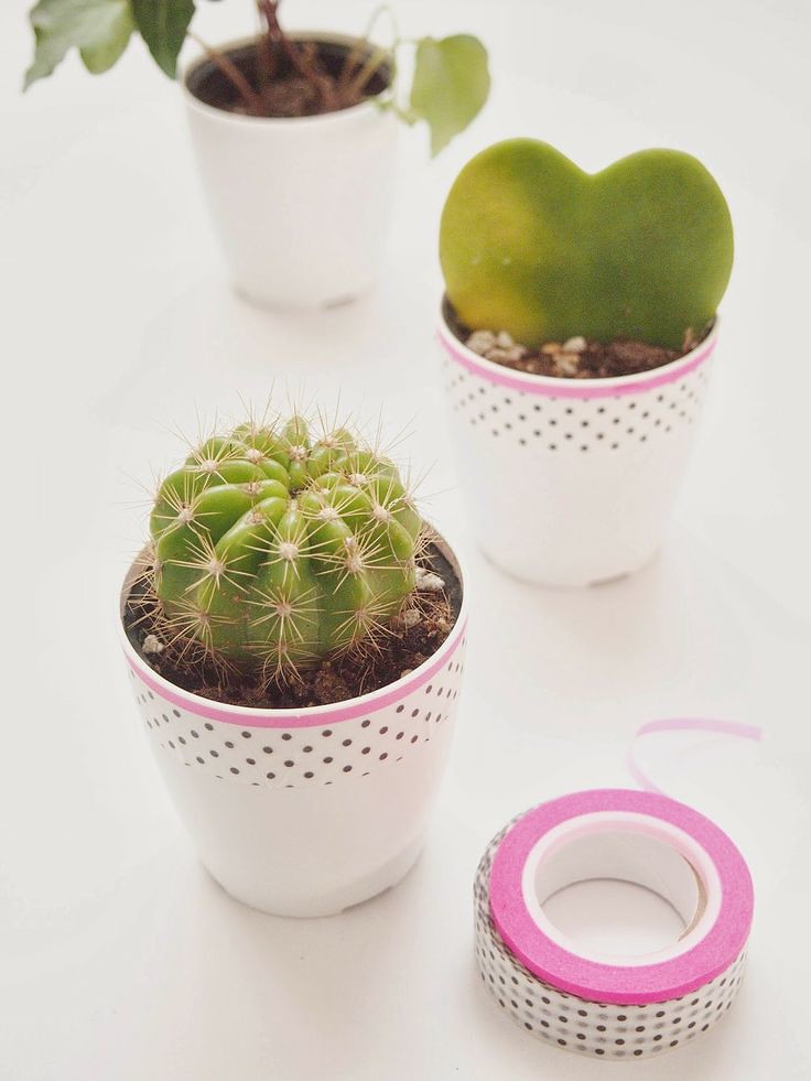 potted washi tape
