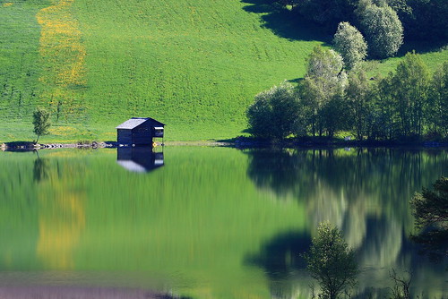 trees house reflection green water norway reflections river landscape norge view greenery gol rv7 nesbyen hallingdalselve