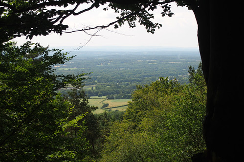 View from Leith Hill 