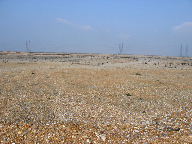The beach west of Dungeness