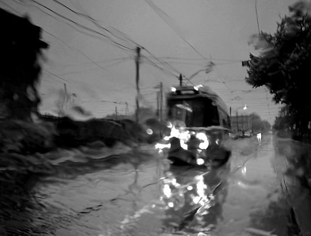 Streetcar in the Rain