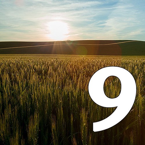 ‪#‎9Days‬ Until All Students Will Be Surrounded By Wheat Fields! ‪#‎WSU‬ ‪#‎GoCougs‬