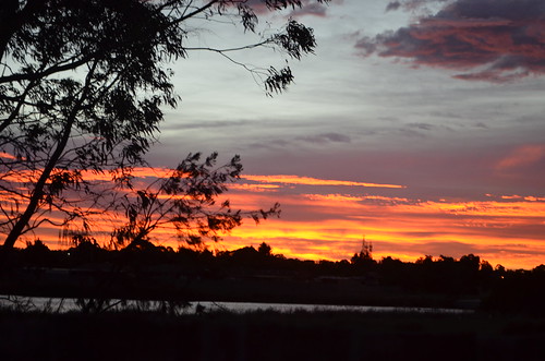 sunrise dawn australia victoria wetlands