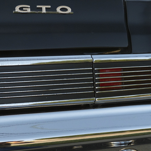 GTO | by EssGee Photography™