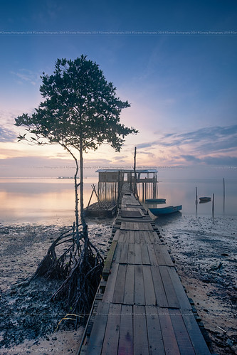 morning blue sea portrait tree water sunrise landscape photography dawn golden wooden high sand nikon singapore soft glow dynamic body jetty tide horizon low smooth warmth filter lee hour wharf malaysia multiple format moment fullframe nikkor dslr fx 06 kampong aging range index current dri muddy hdr pathway coolness johor silky density blend tanjung d800 dx bahru indicator neutral lonesome 2014 gradual gnd langsat accompany 1024mm walkyway