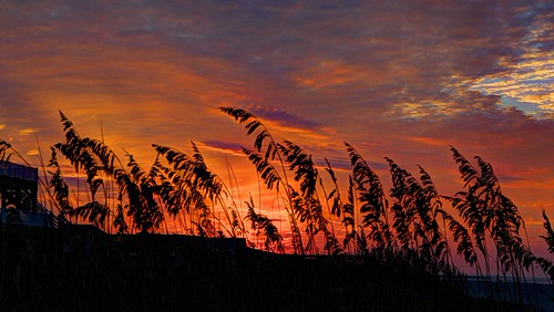 IMG_6843_4_5_fused by jsmjr, oib seaoats sunrise beach hdr