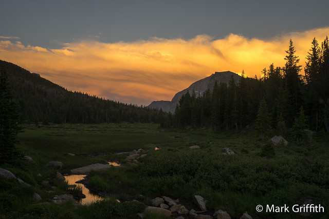 Fire Reflected