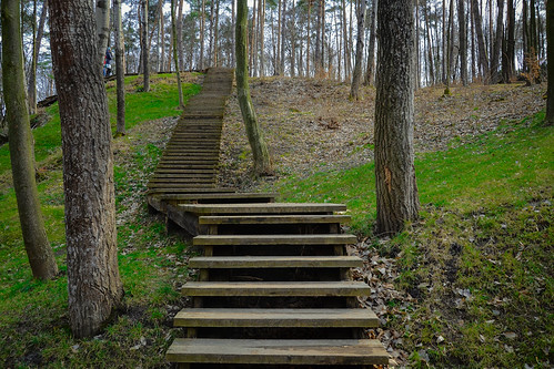 Wooden steps M | by Dimasaur