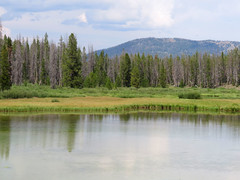 Elk Meadow Lake