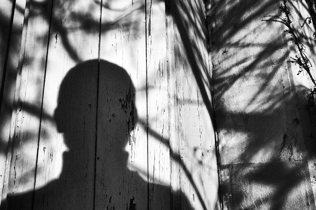 Self-assembly shadow | Vanvan_fr | Flickr