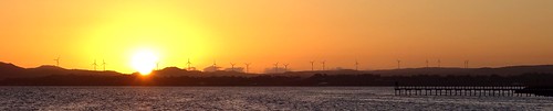 orange wind farm sunset albany water jetty silhouette
