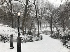 Snow in Central Park!