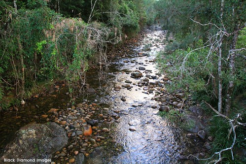 creek australia nsw wauchope midnorthcoast forbesriver werrikimbenationalpark cockerawombeebaroad forbesriverroad forbesrivertributary