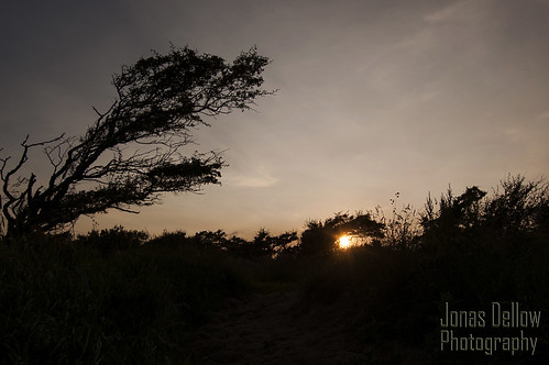 ireland sunset sun tree silhouette dark shadows donegal jonasdellowphotography