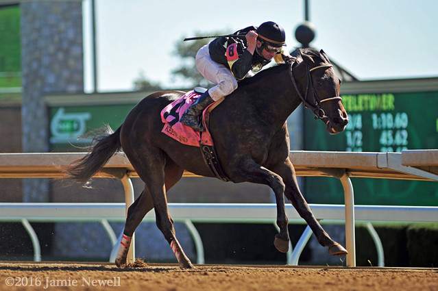 Champagne Problems breaks her maiden at Keeneland
