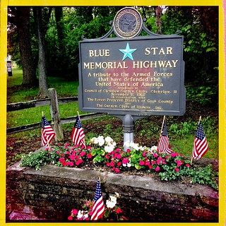 Blue Star Memorial Highway | by swanksalot