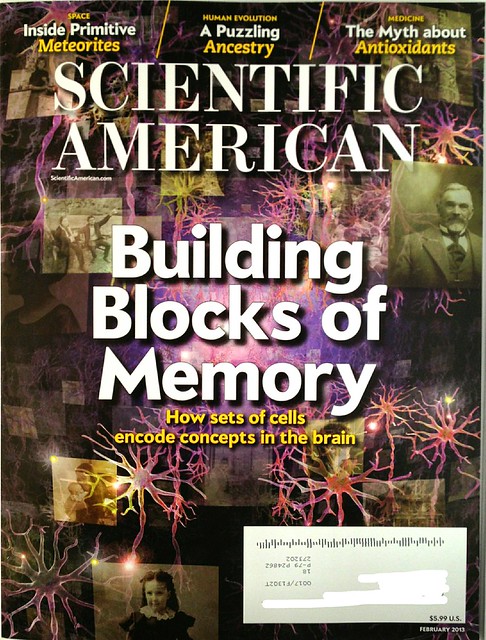 Scientific American 2013 02
