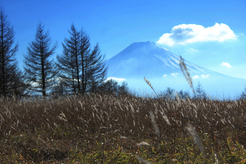 三つ峠から見える富士山