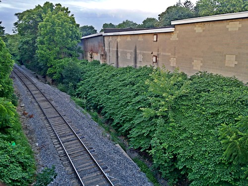 road county railroad morning westminster june sunrise way early town md downtown track ben web tracks maryland rail railway down area rails mornings carroll roads railways ways midland railroads 2014 rxr trackway trackways marylandmidlandrailway schumin schuminweb