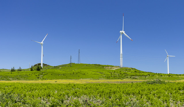 Windmills field in Paul da Serra