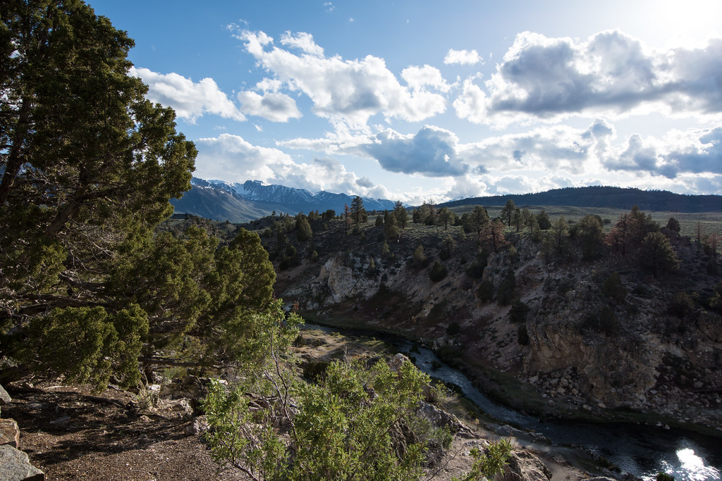 Hot Creek Canyon Trail