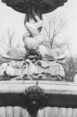 Bronx Zoo ~ New York City ~ My Old 35mm Film ~ Scanned ~ Rockefeller Fountain
