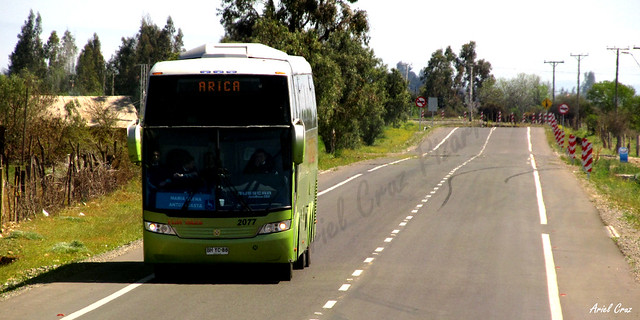 Tur Bus - Valle del Limarí (Chile) - Busscar Jum Buss 380 (BHYC88) Nº 2077