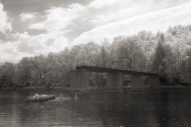 Albright Bridge (with Swimmers)