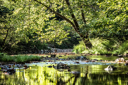 reflection green reflections landscape unitedstates pennsylvania decay explorer pa newkensington greenplanet lincolnbeach riversandstreams canoncamera ventureoutdoors pittsburghneighborhoods canon60d lowerburrell garysprague explorepa newkensingtoncameraclub pucketycreek