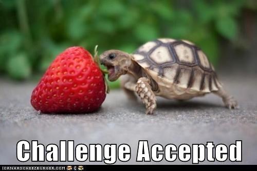 Challenge Accepted | by JamieDSC
