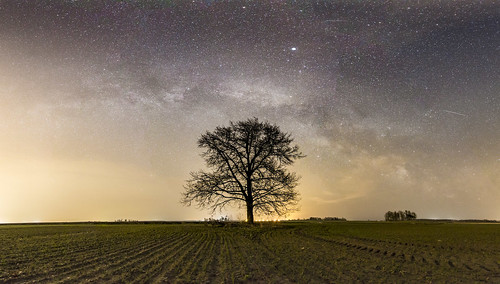 tree milky way field astrophotography canon 6d tamron 2470 night stars sky galaxy lithuania lietuva