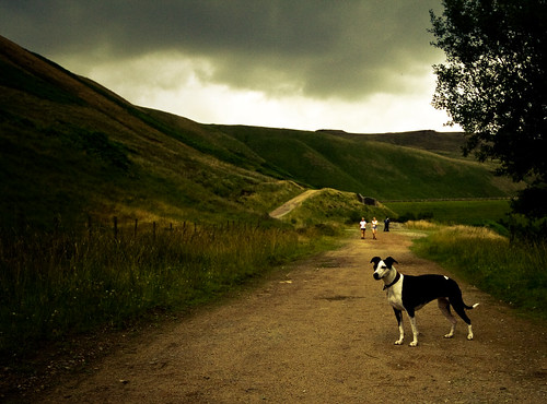 dog walking northwest peakdistrict country oldham pennine resovoir dovestones greenfields