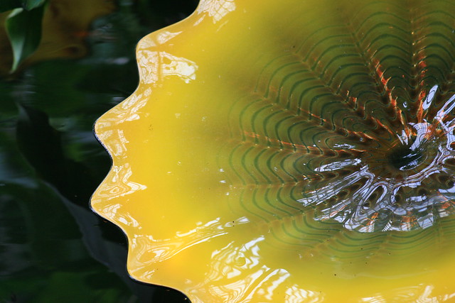 Chihuly Glass - 2008