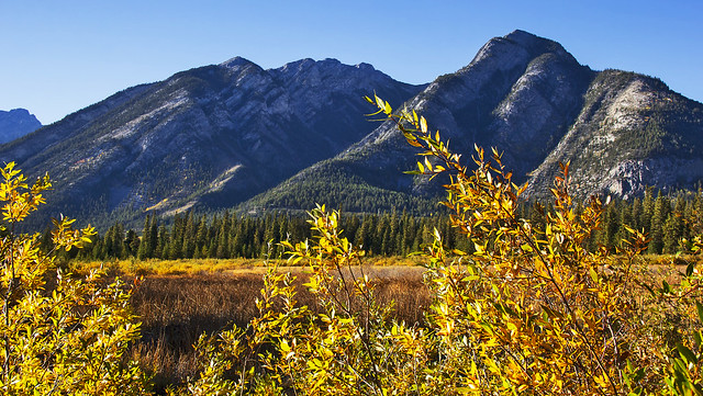 Banff Peaks & Autumn Foliage