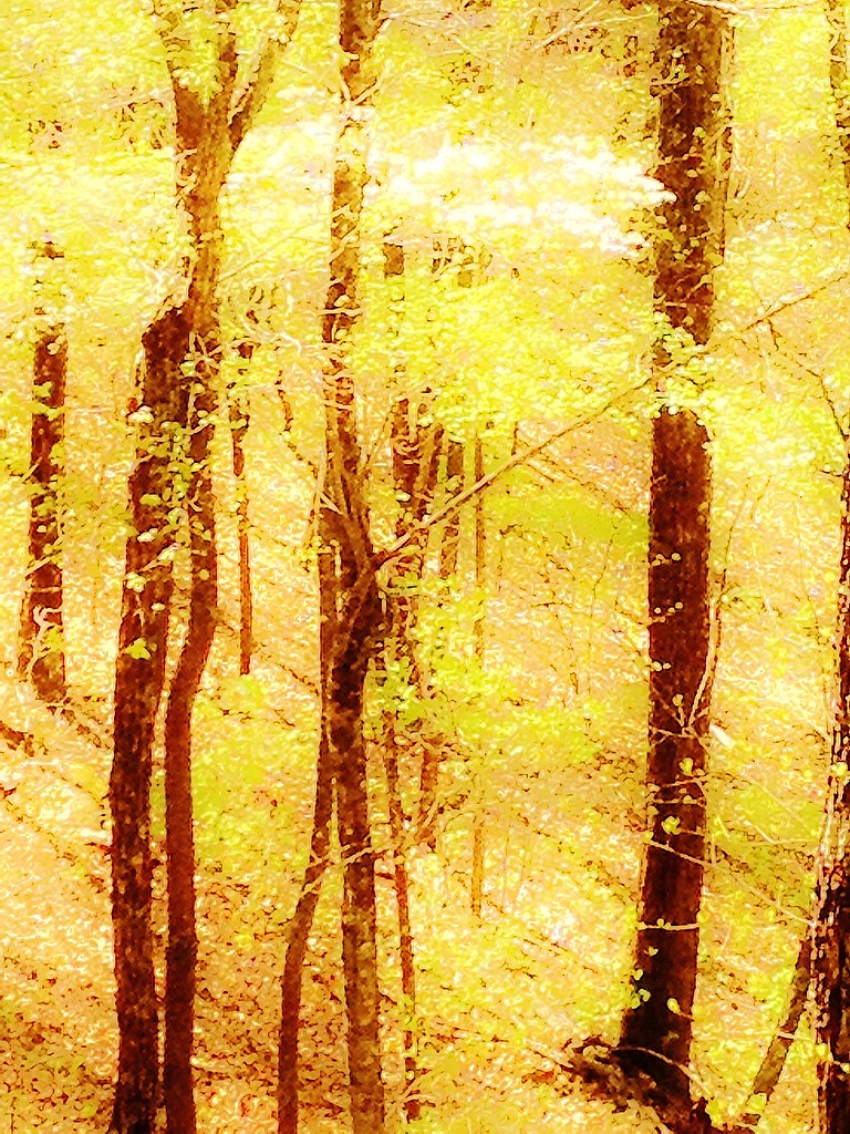 Flat Creek Loop