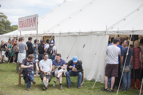 MindField at Electric Picnic 2014