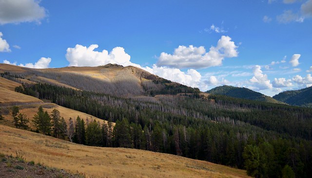 Wyoming hillsides.