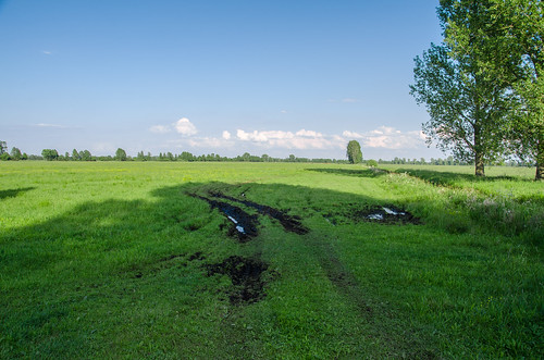 feld moor spreewald acker kaputt zerstört torf beschädigt niedermoor grasnarbe erorsion bewirtschaftet feldeinfahrt freiliegend