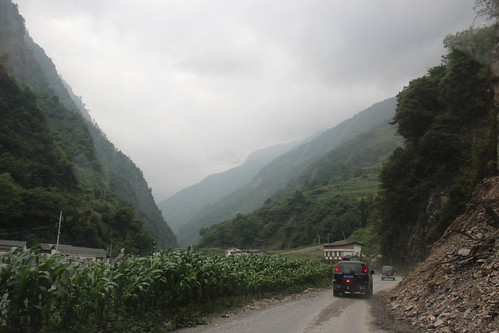 road red panda chengdu wolong