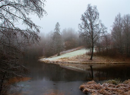 river shore water stream ice frost cold winter tree trees grass forest kjelsås akerselva oslo norway